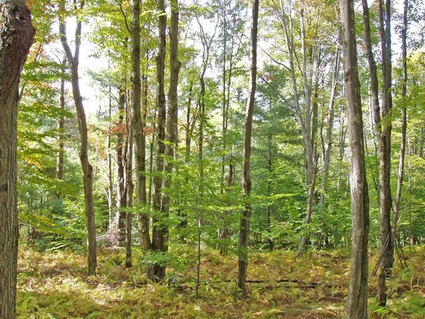 $55,000 | Lot #28 Timberland Drive, Andes, NY 13731