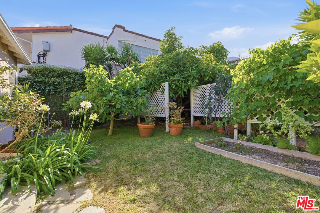 1019 Pine Street Santa Monica, CA 90405 - Photo 18 of 36 a backyard of a house with lots of green space