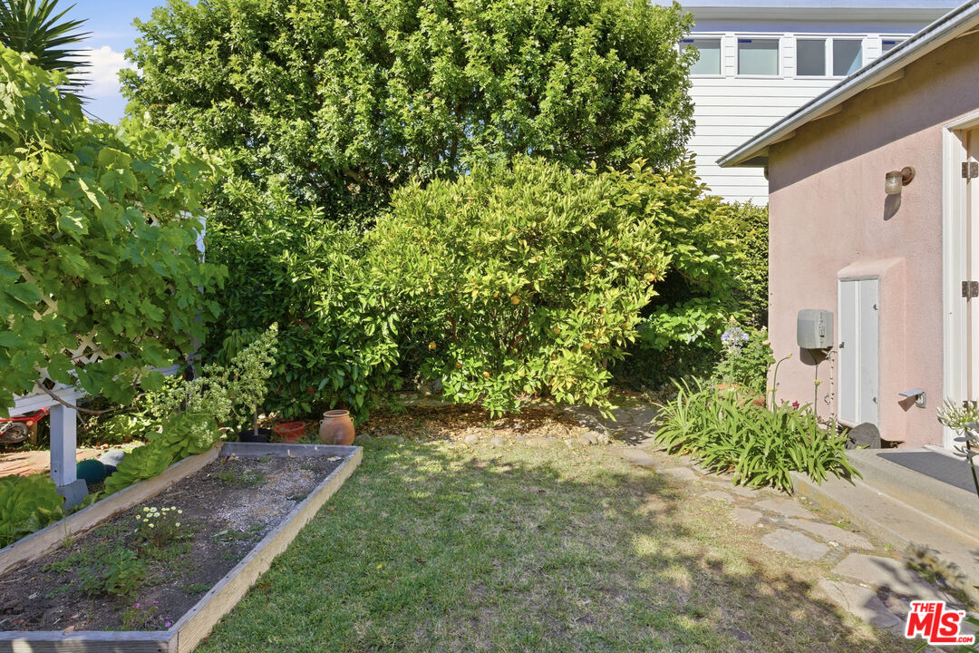 1019 Pine Street Santa Monica, CA 90405 - Photo 19 of 36 a backyard of a house with lots of green space
