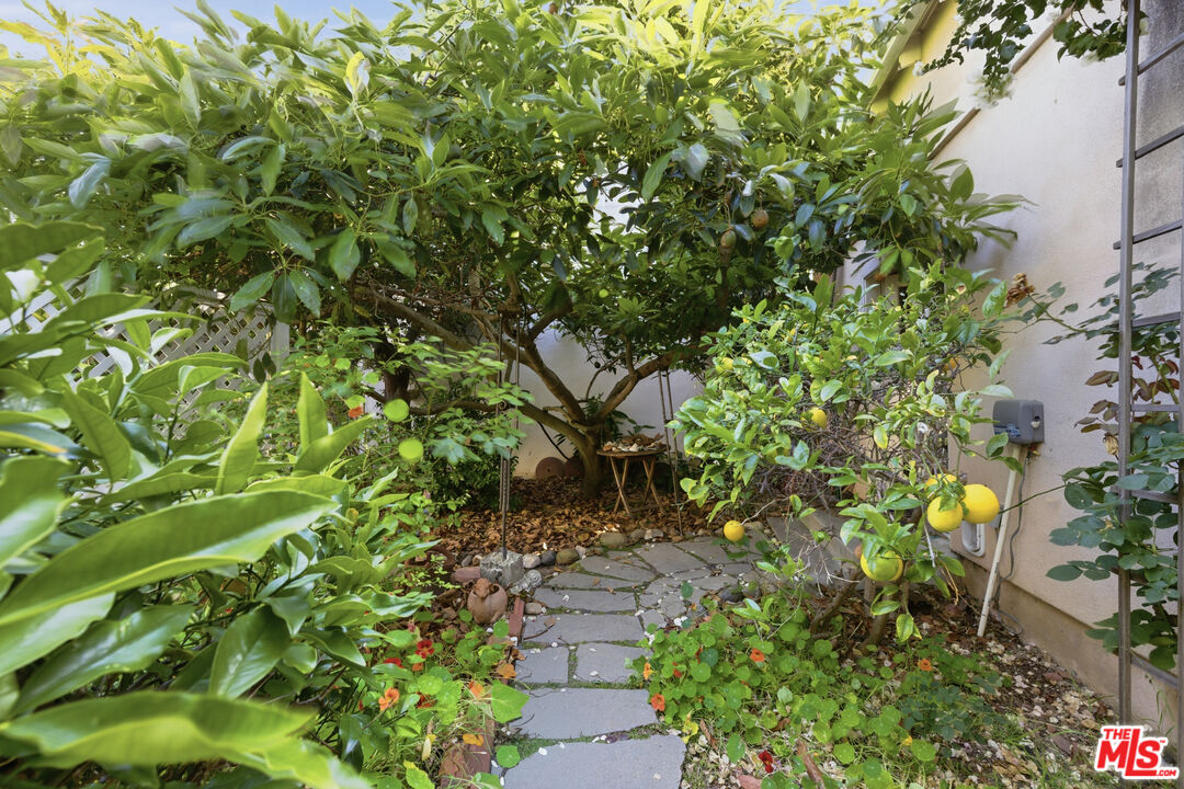 1019 Pine Street Santa Monica, CA 90405 - Photo 30 of 36 a pathway of a yard