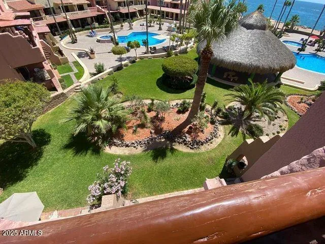 a view of a backyard with plants and patio