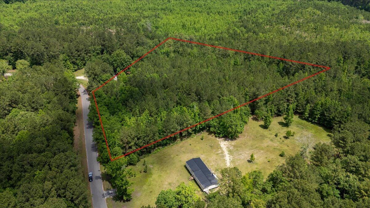 0 Deneaux Road Rowesville, SC 29133 - Photo 43 of 43 43-Deneaux-31a