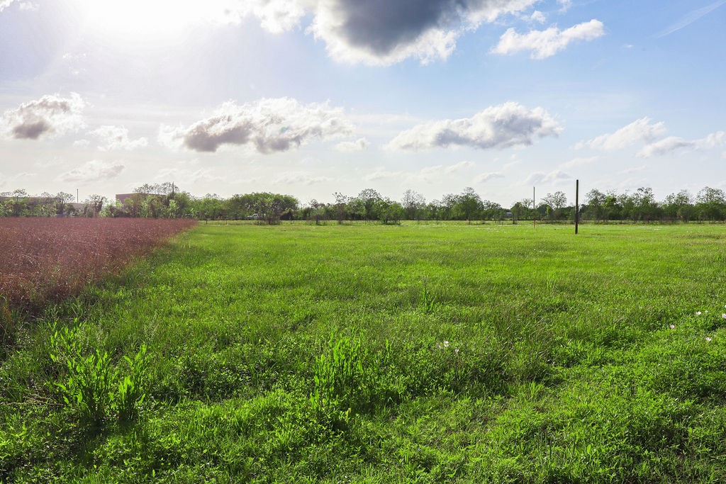 1115 Farm To Market 1462 Rosharon, TX 77583 - Photo 19 of 20