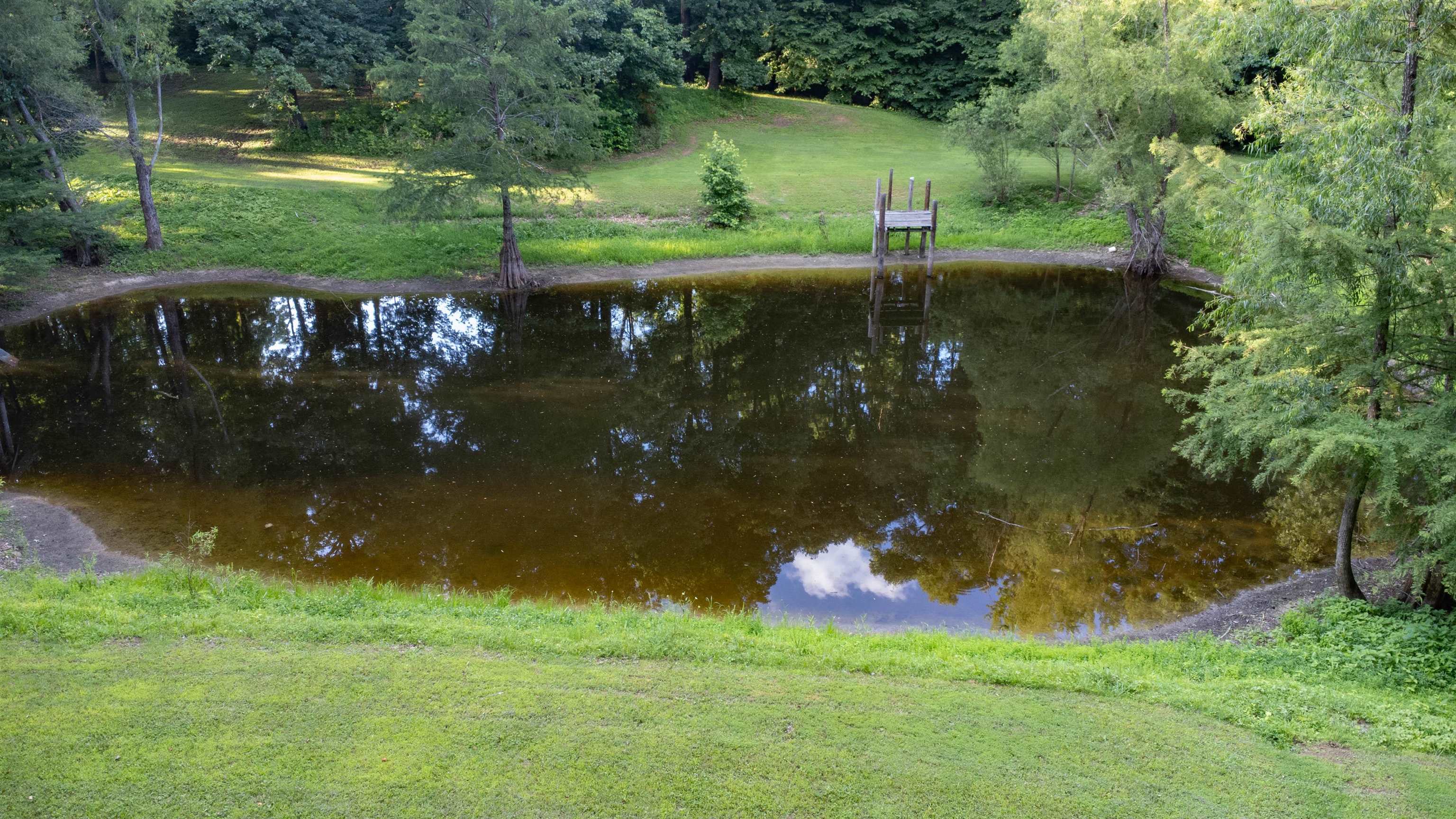 120 Craig Road Ripley, TN 38063 - Photo 29 of 38 Private pond featuring a wooden dock, surrounded by mature trees and lush green landscaping