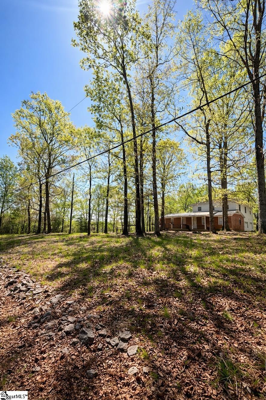 4124 Highway 414 Landrum, SC 29356 - Photo 18 of 18