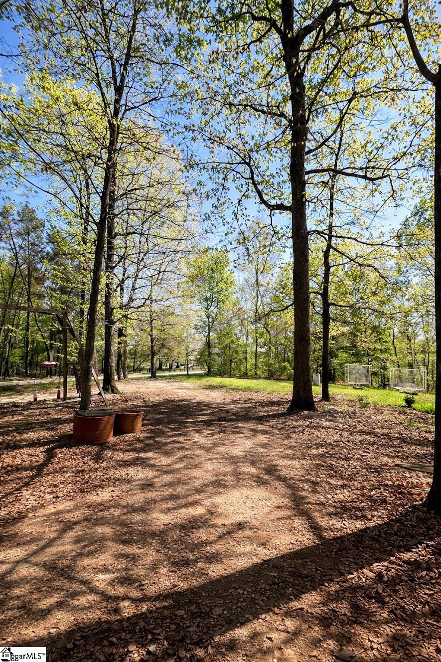 4124 Highway 414 Landrum, SC 29356 - Photo 2 of 18