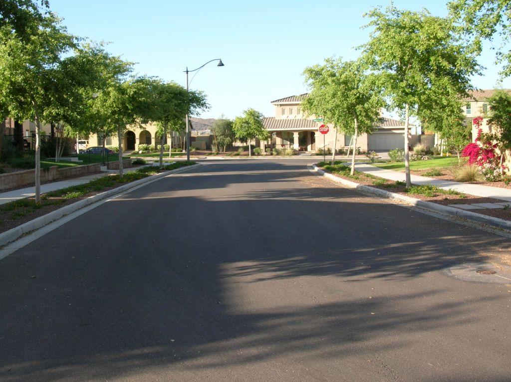 4584 North Point Ridge Road Buckeye, AZ 85396 - Photo 10 of 10 Street scene