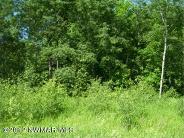 Balsam Ridge Road Northwest Bemidji, MN 56601 - Photo 1 of 1 Gallery Image 1
