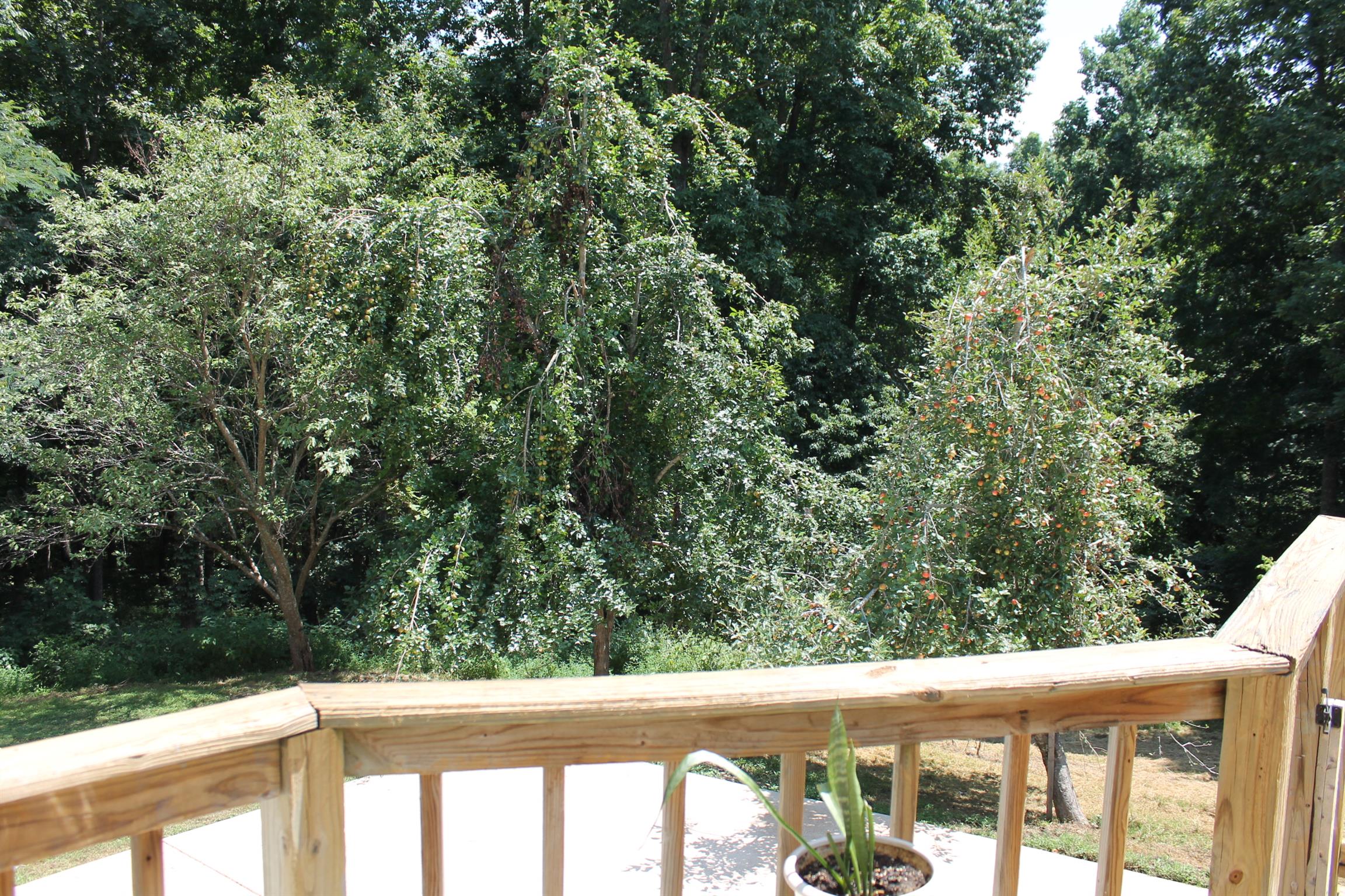 145 Overlook Road Dover, TN 37058 - Photo 17 of 26 Fruit trees to the rear and sides