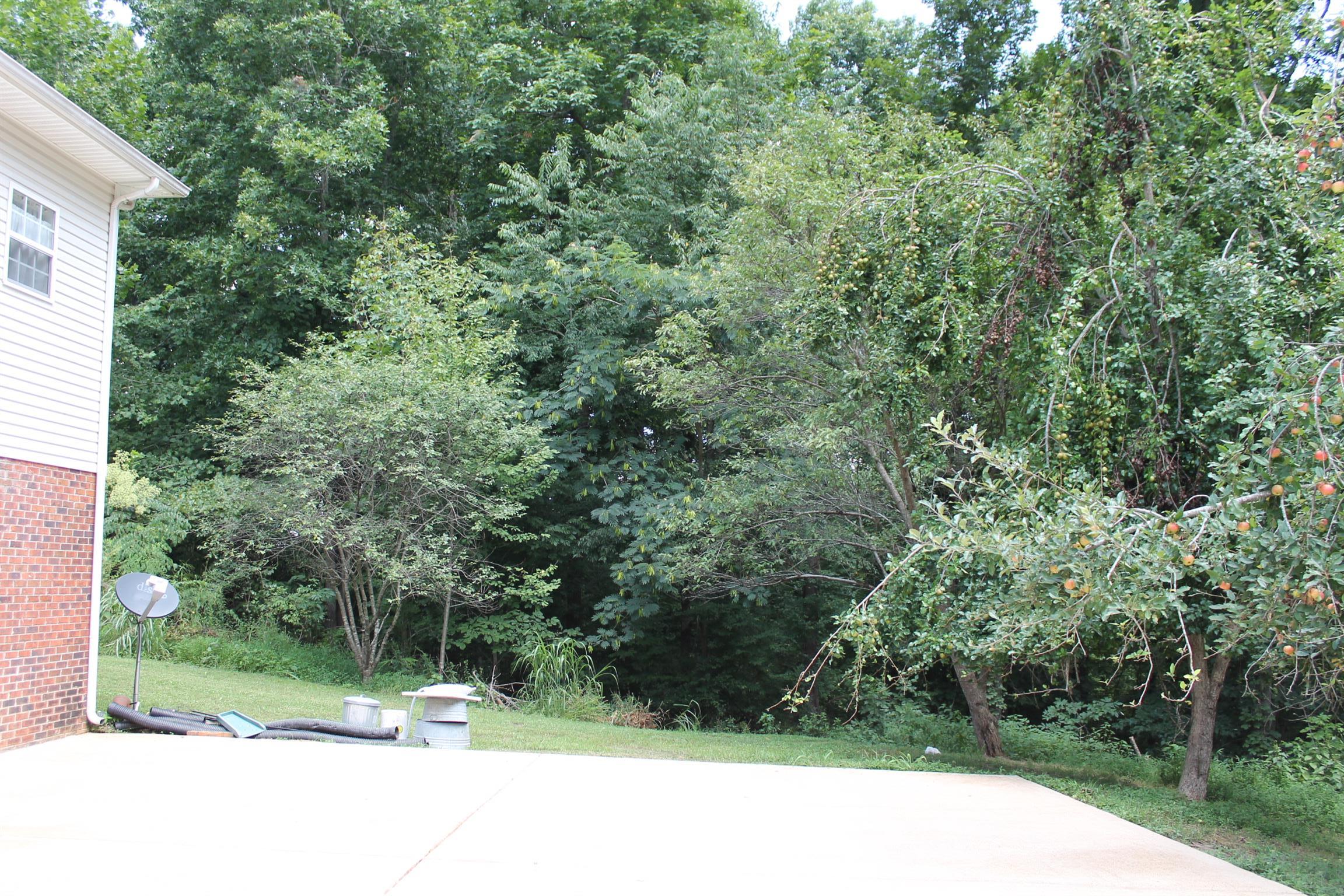 145 Overlook Road Dover, TN 37058 - Photo 19 of 26 No neighbors in the front or rear