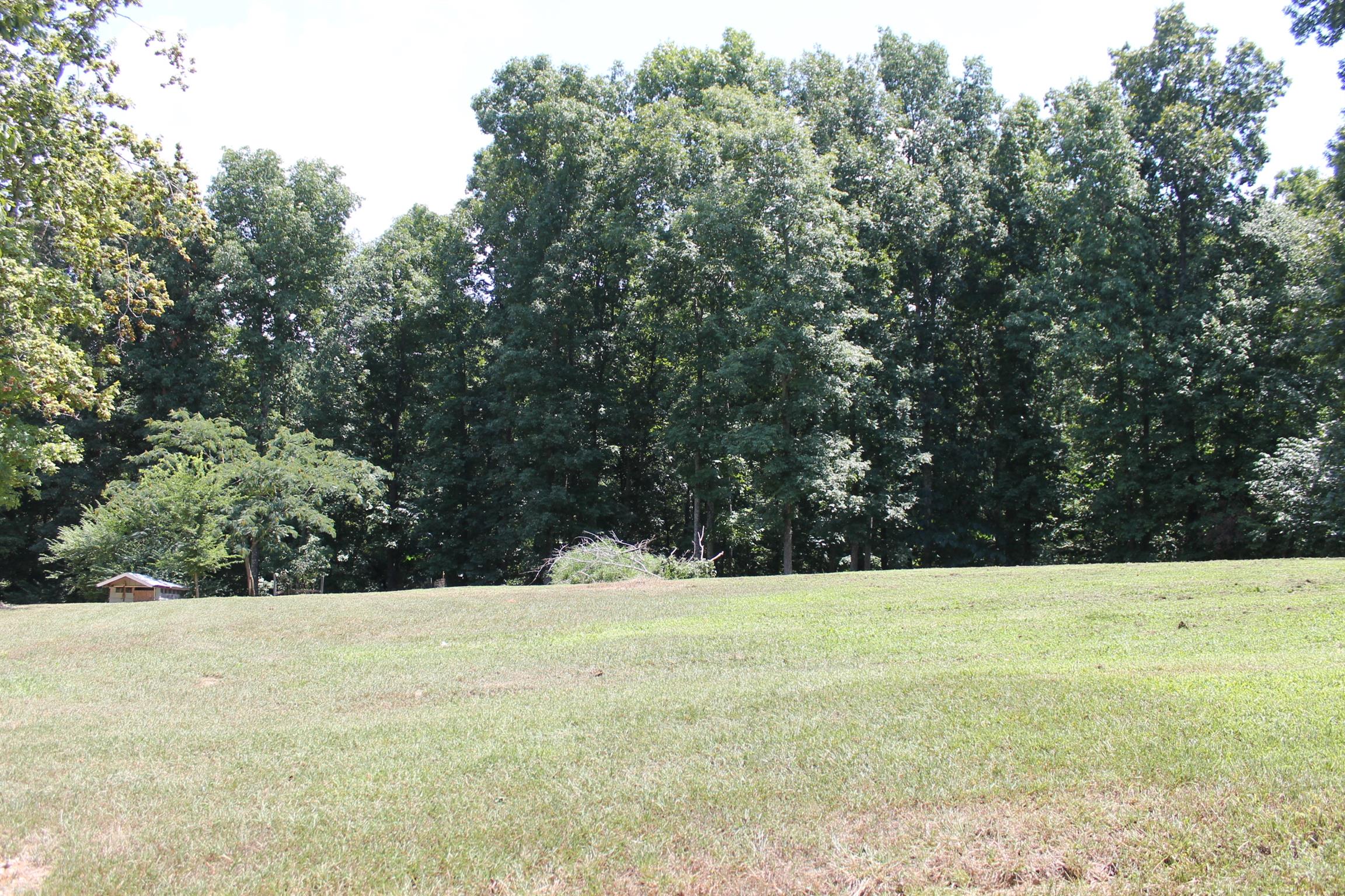 145 Overlook Road Dover, TN 37058 - Photo 25 of 26 Cleared right lot area