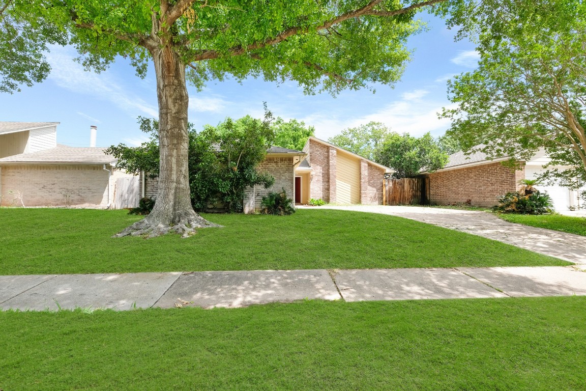 a front view of a house with garden and tree