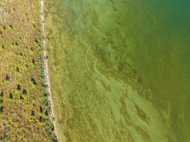 $273,800 | 58.11-ac 164th Street Northwest, Cass Lake, MN 56633