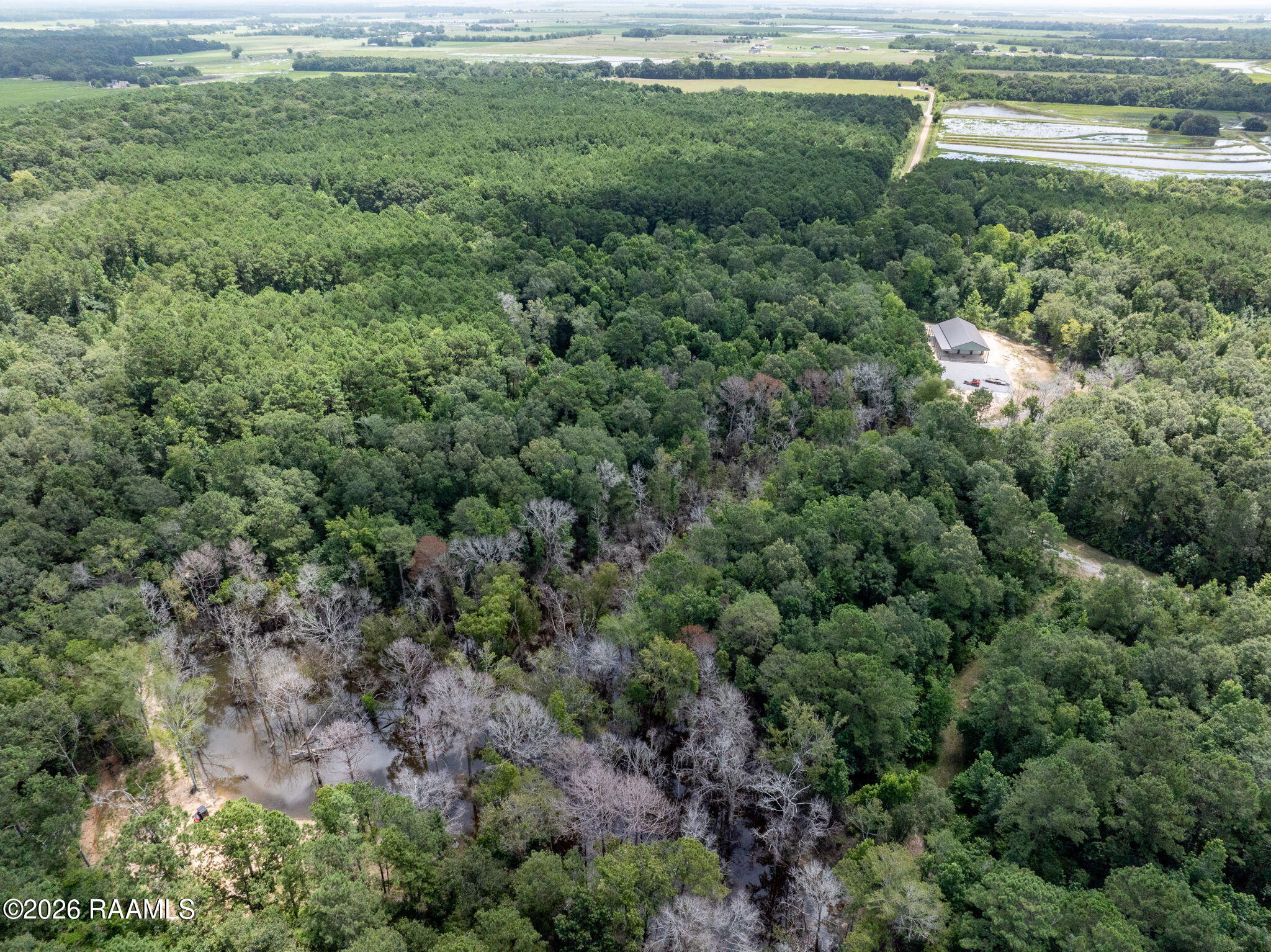 301 Crabapple Road Iota, LA 70543 - Photo 29 of 40 29-web-or-mls-DJI_20260630010338_0068_D