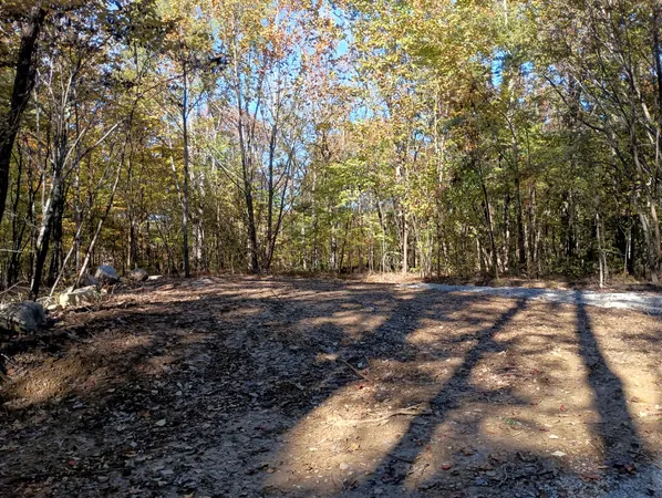 a view of a backyard with large trees