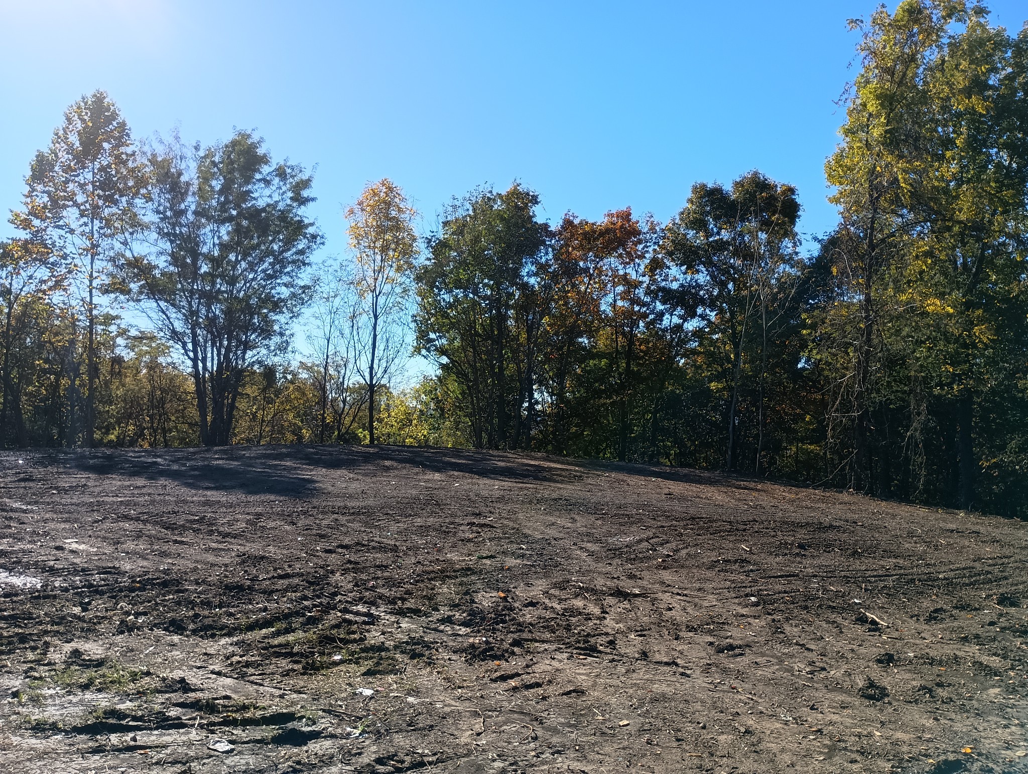0 Clouse Hill Road Pelham, TN 37366 - Photo 16 of 20 a view of a yard with trees in the background