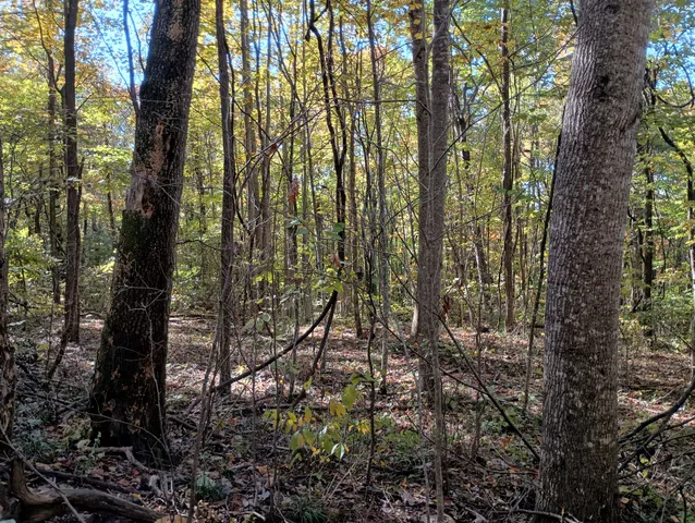 $855,360 | 0 Clouse Hill Road, Pelham, TN 37366