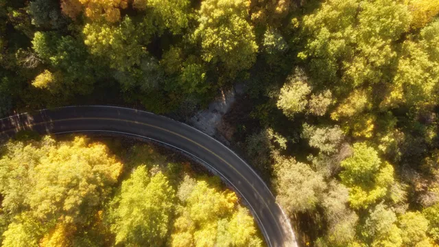 $855,360 | 0 Clouse Hill Road, Pelham, TN 37366