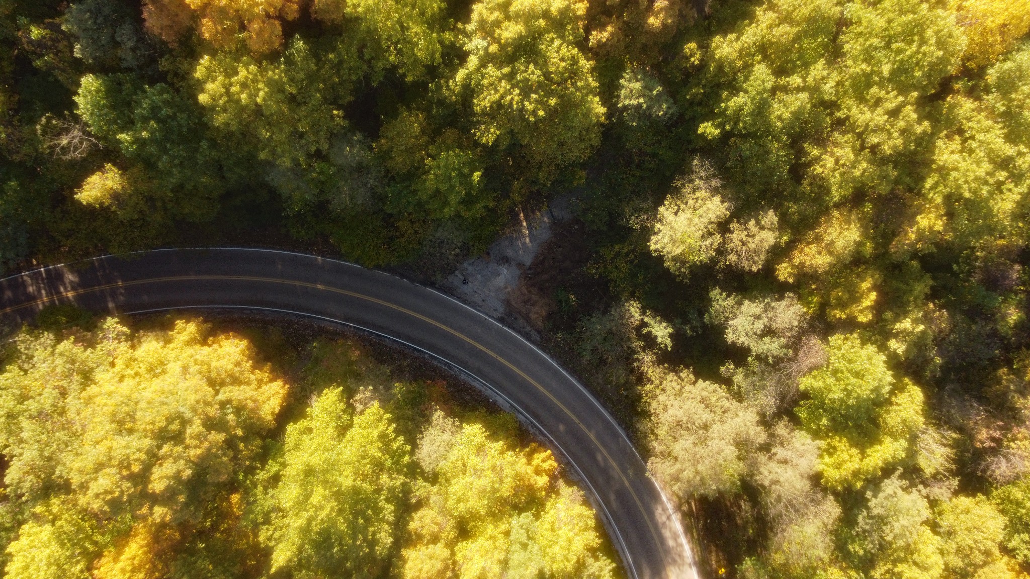 0 Clouse Hill Road Pelham, TN 37366 - Photo 7 of 20 a view of swimming pool from a yard