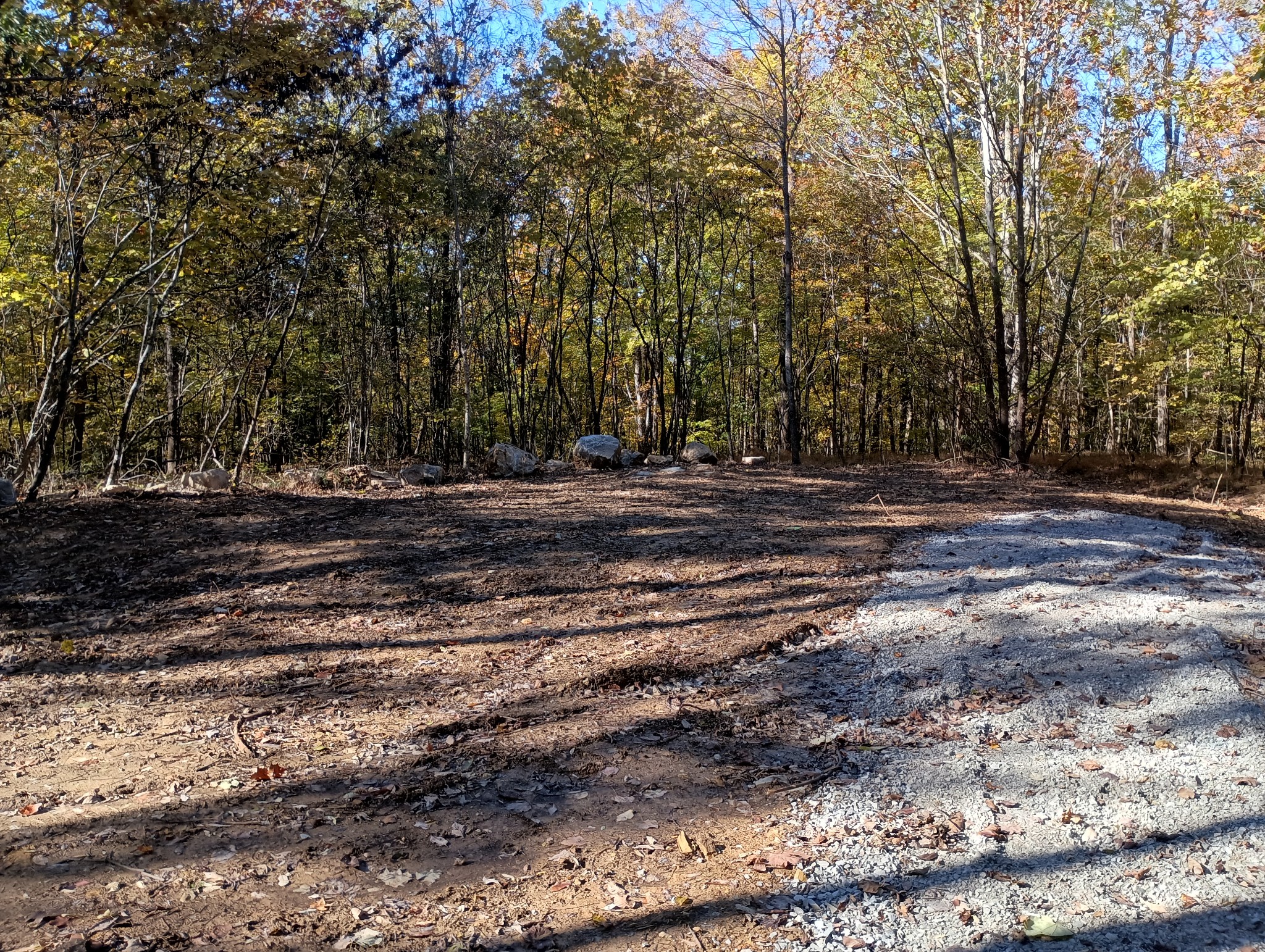 0 Clouse Hill Road Pelham, TN 37366 - Photo 10 of 20 a view of a yard with a trees