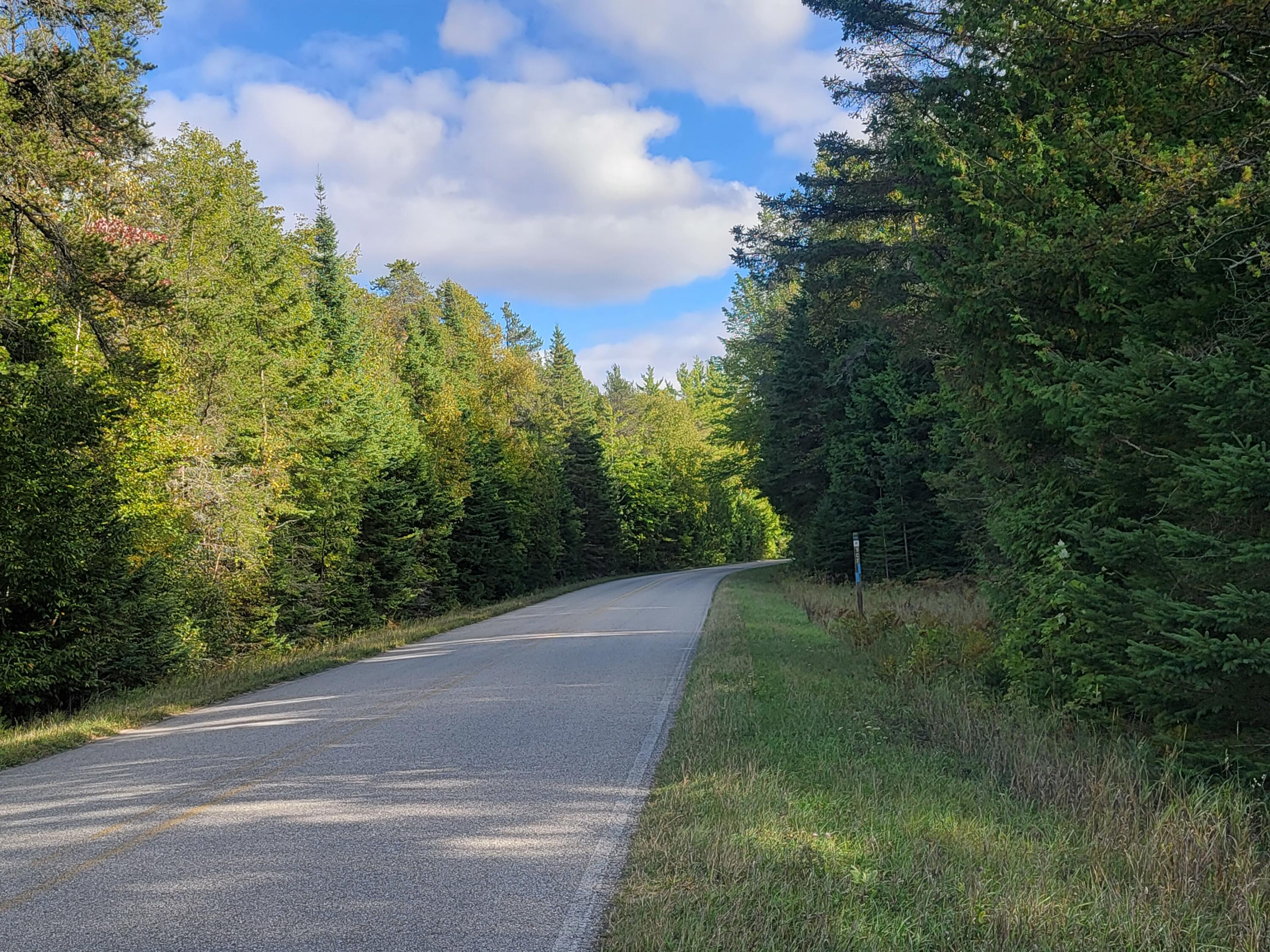 Lot 1 Brevort Camp Road Moran, MI 49760 - Photo 24 of 66 Gallery Image 24