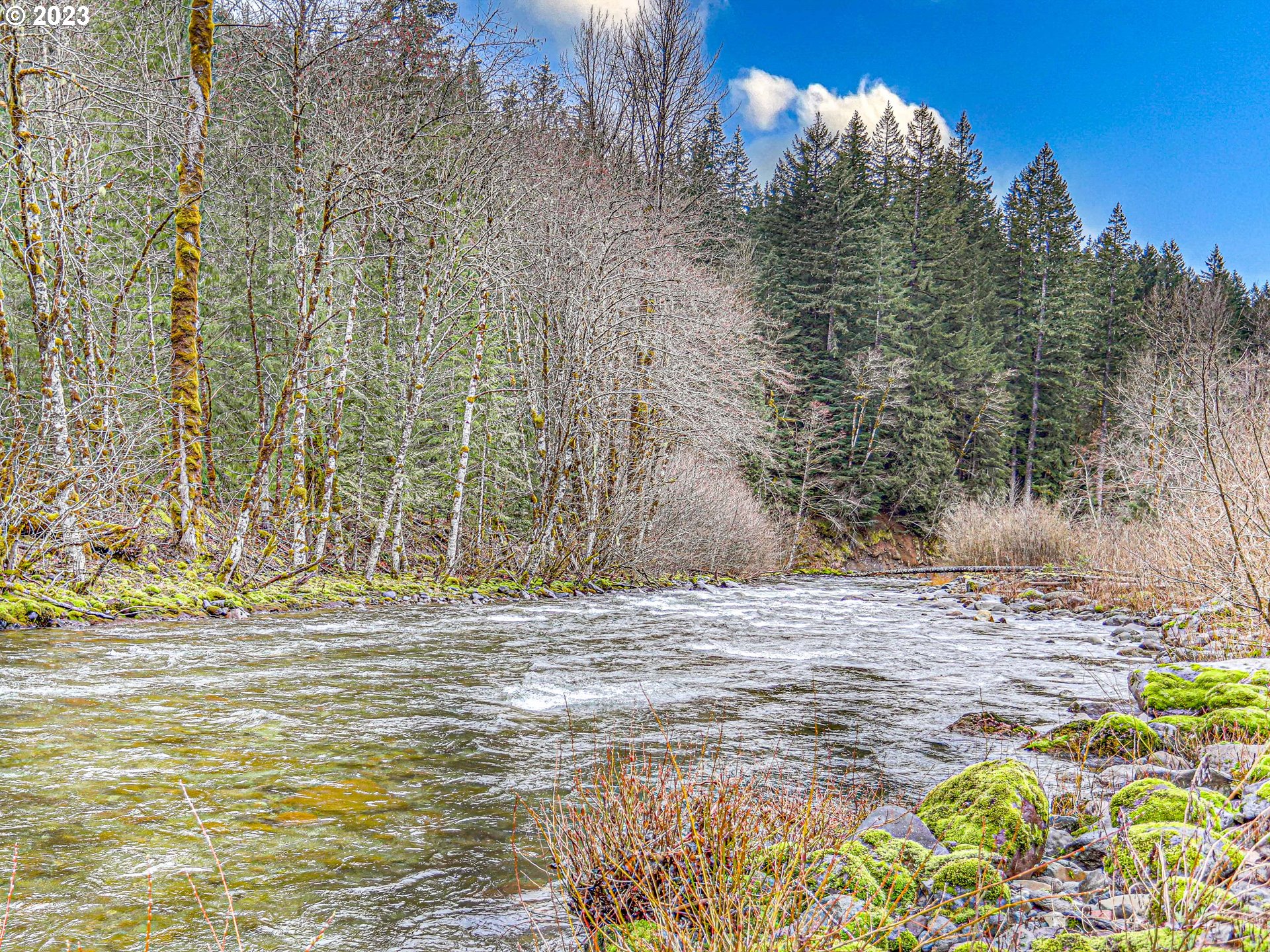 72697 East Village Loop Road Rhododendron, OR 97049 - Photo 38 of 47 Gallery Image 38