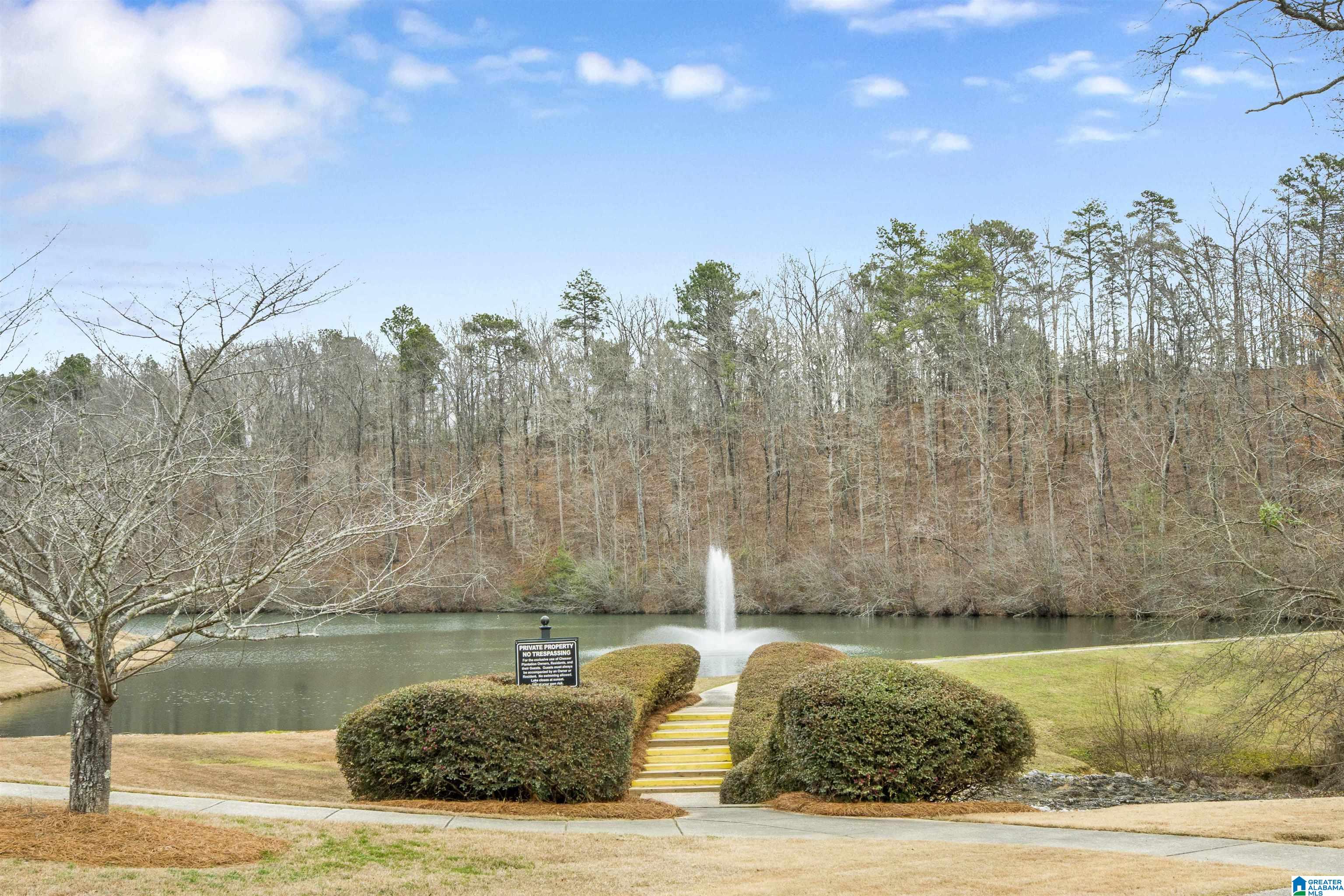 541 Chesser Circle Chelsea, AL 35043 - Photo 45 of 48