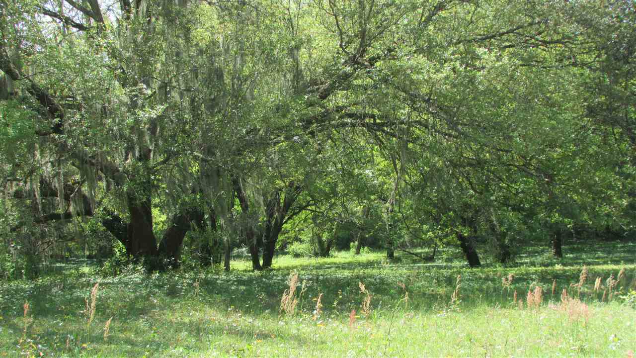 1135 Northeast Garden Road Madison, FL 32340 - Photo 8 of 22