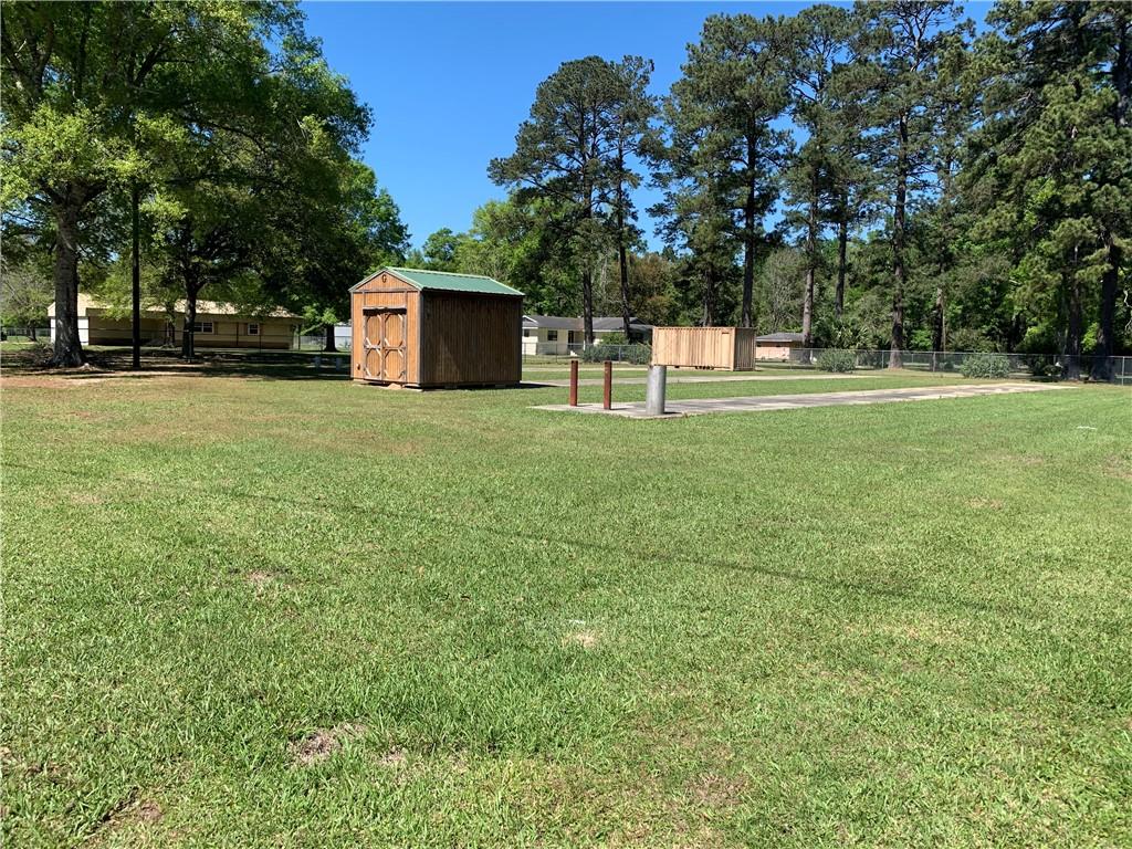 14341 Sampere Lane Tickfaw, LA 70466 - Photo 3 of 24