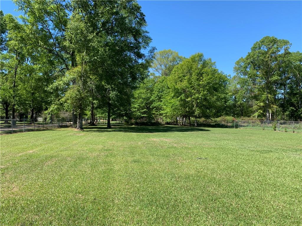 14341 Sampere Lane Tickfaw, LA 70466 - Photo 10 of 24