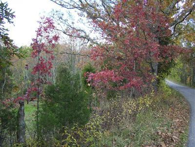 19 Kennedy Ridge Road Falmouth, KY 41040 - Photo 13 of 14 Gallery Image 13