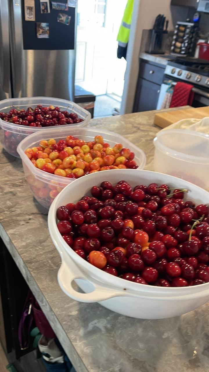 3901 Lake Road, Unit 74 West Sacramento, CA 95691 - Photo 28 of 38 a bounty from the trees last year