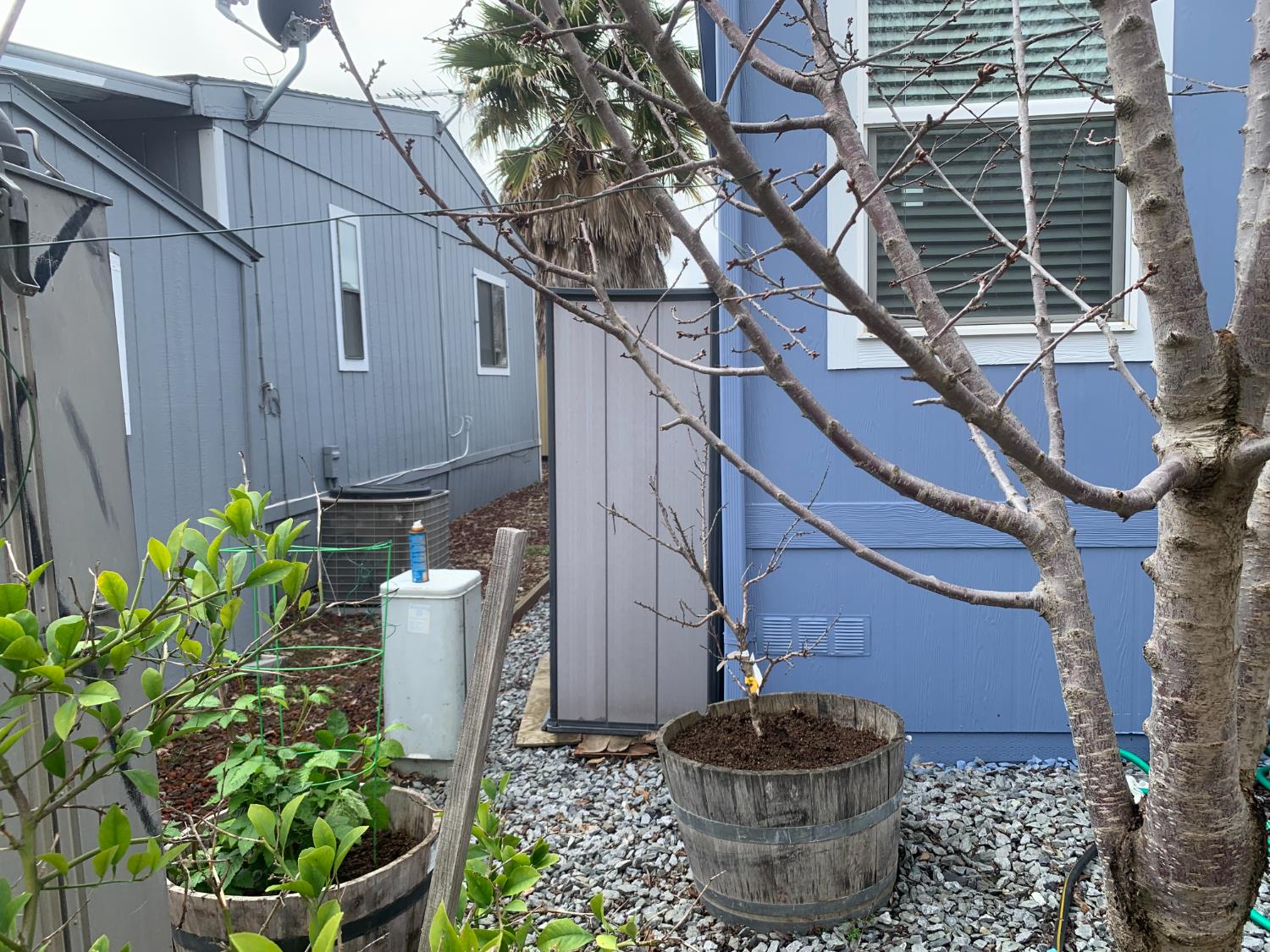 3901 Lake Road, Unit 74 West Sacramento, CA 95691 - Photo 30 of 38