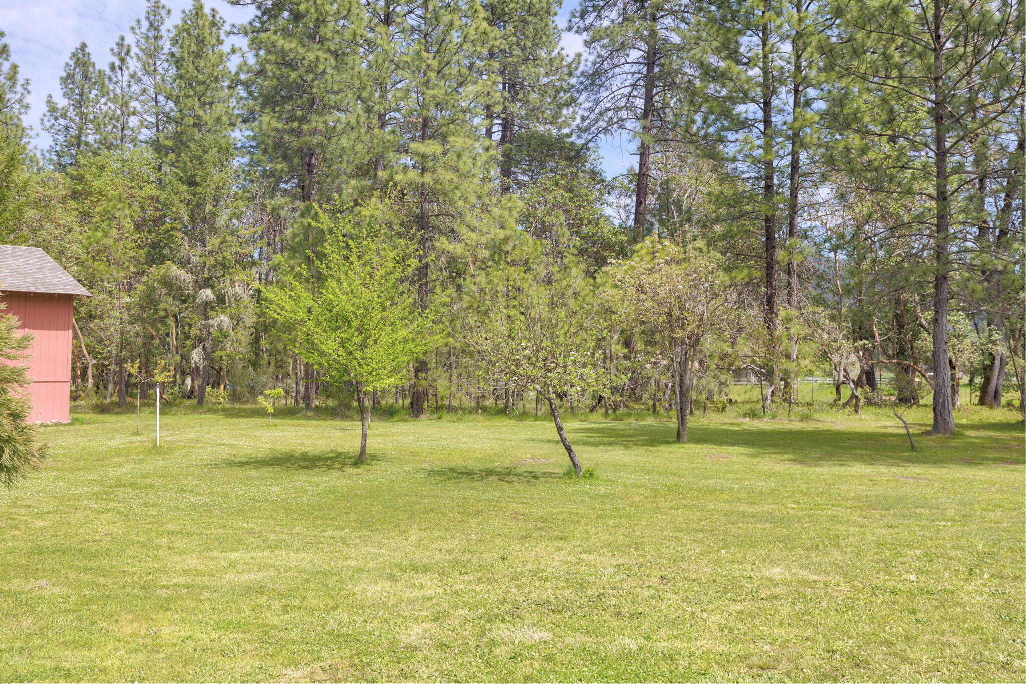 400 Latigo Ranch Road Williams, OR 97544 - Photo 80 of 90 fruit trees