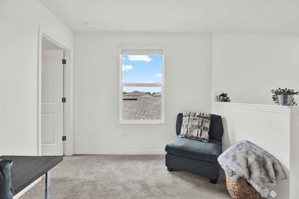 1726 Lanier Road Zephyrhills, FL 33541 - Photo 27 of 63