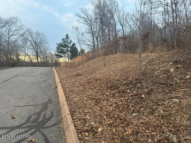 $64,900 | Shiloh Springs Road, Rutledge, TN 37861