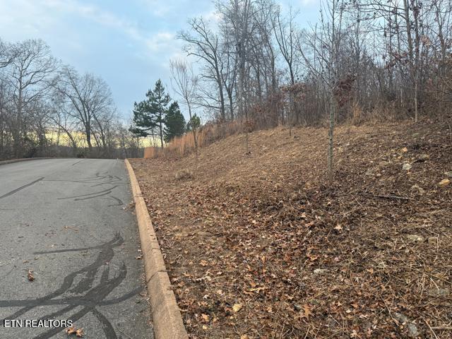 Shiloh Springs Road Rutledge, TN 37861 - Photo 2 of 16 street view