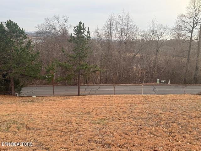 Shiloh Springs Road Rutledge, TN 37861 - Photo 4 of 16 towards street