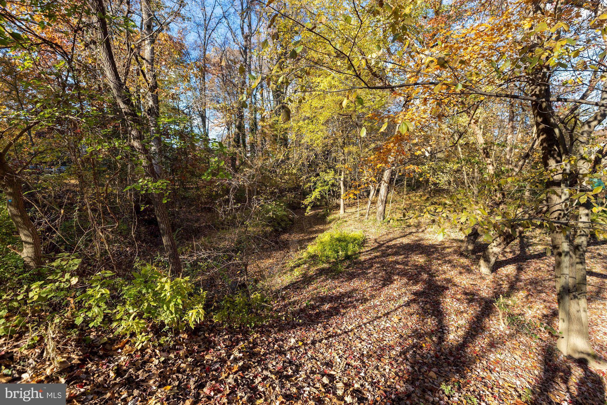 2819 Roesh Way Vienna, VA 22181 - Photo 45 of 64 Gallery Image 45