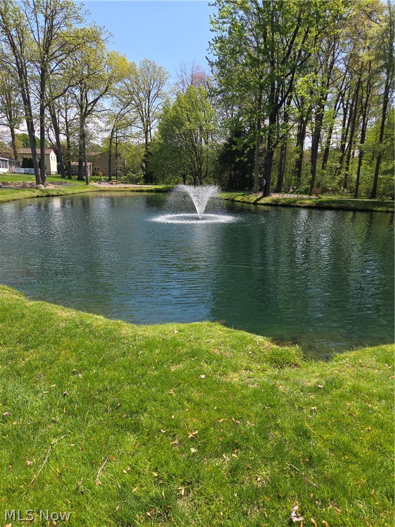 193 Mathews Road Youngstown, OH 44512 - Photo 48 of 50