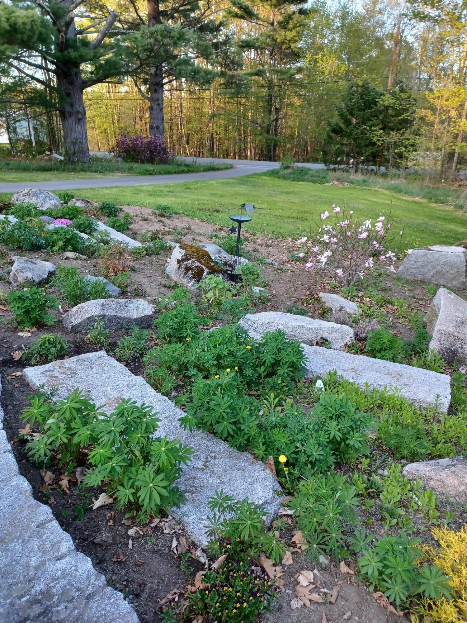 97 Madawaska Road Palmyra, ME 04965 - Photo 72 of 73 Stonehenge3