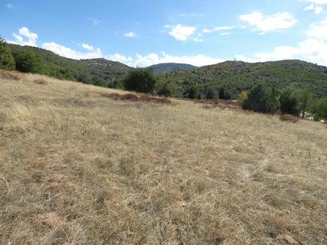 a view of a mountain range with trees in the background