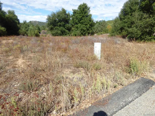 a view of a yard with a trees