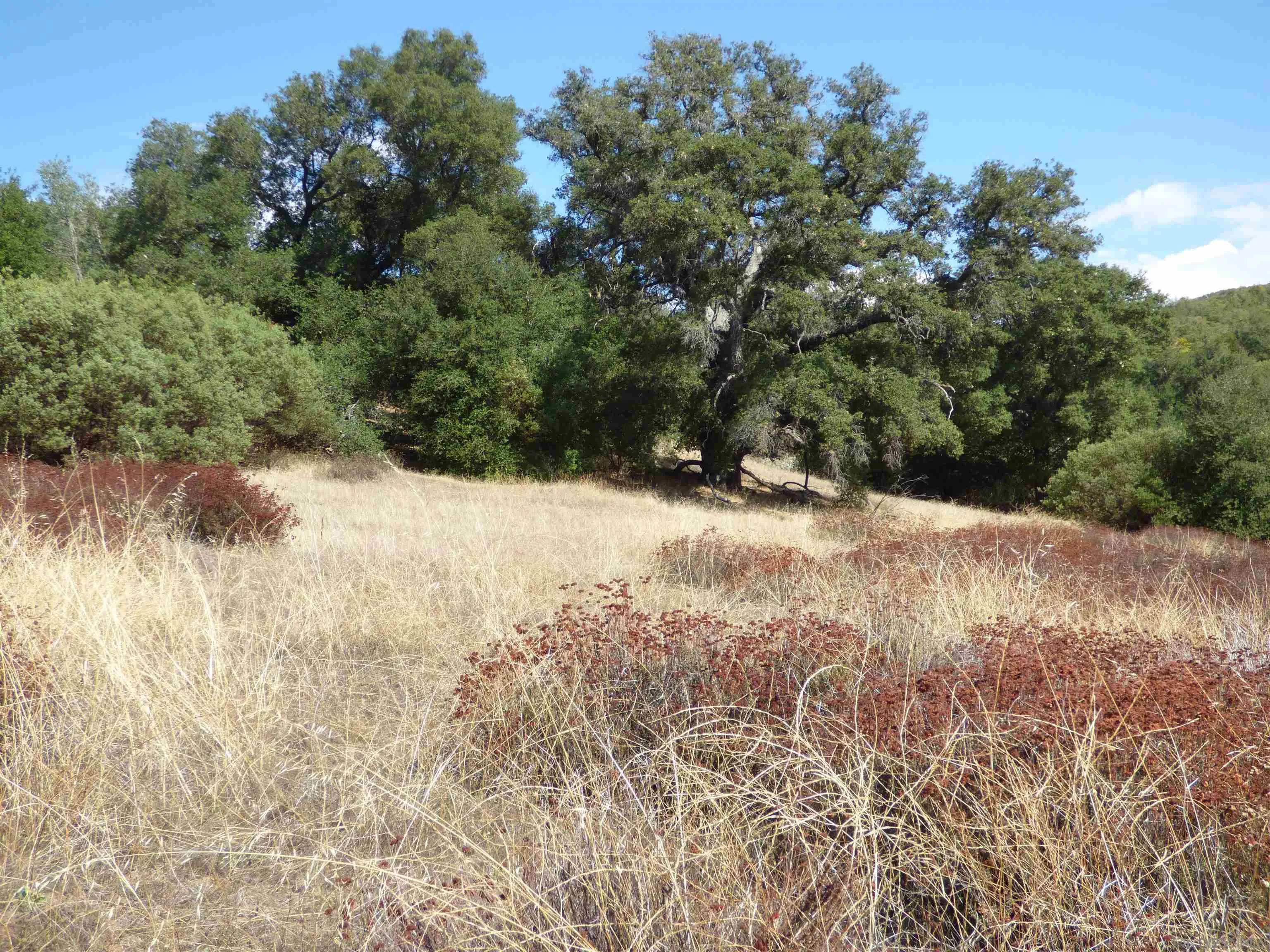 Engineers Road Southeast, Unit N/K Julian, CA 92036 - Photo 5 of 27 a view of a snow in a yard