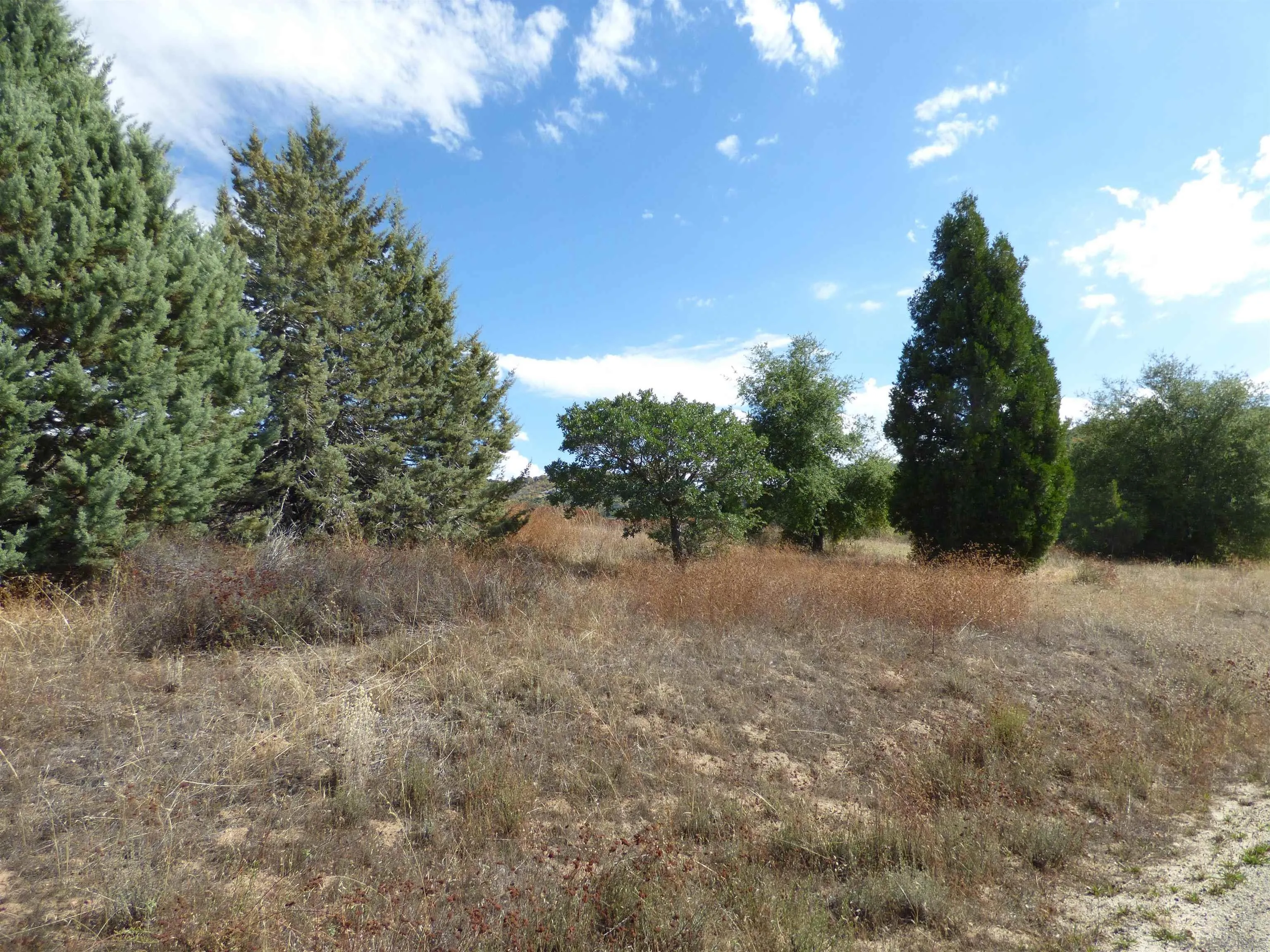 Engineers Road Southeast, Unit N/K Julian, CA 92036 - Photo 8 of 27 a view of a forest