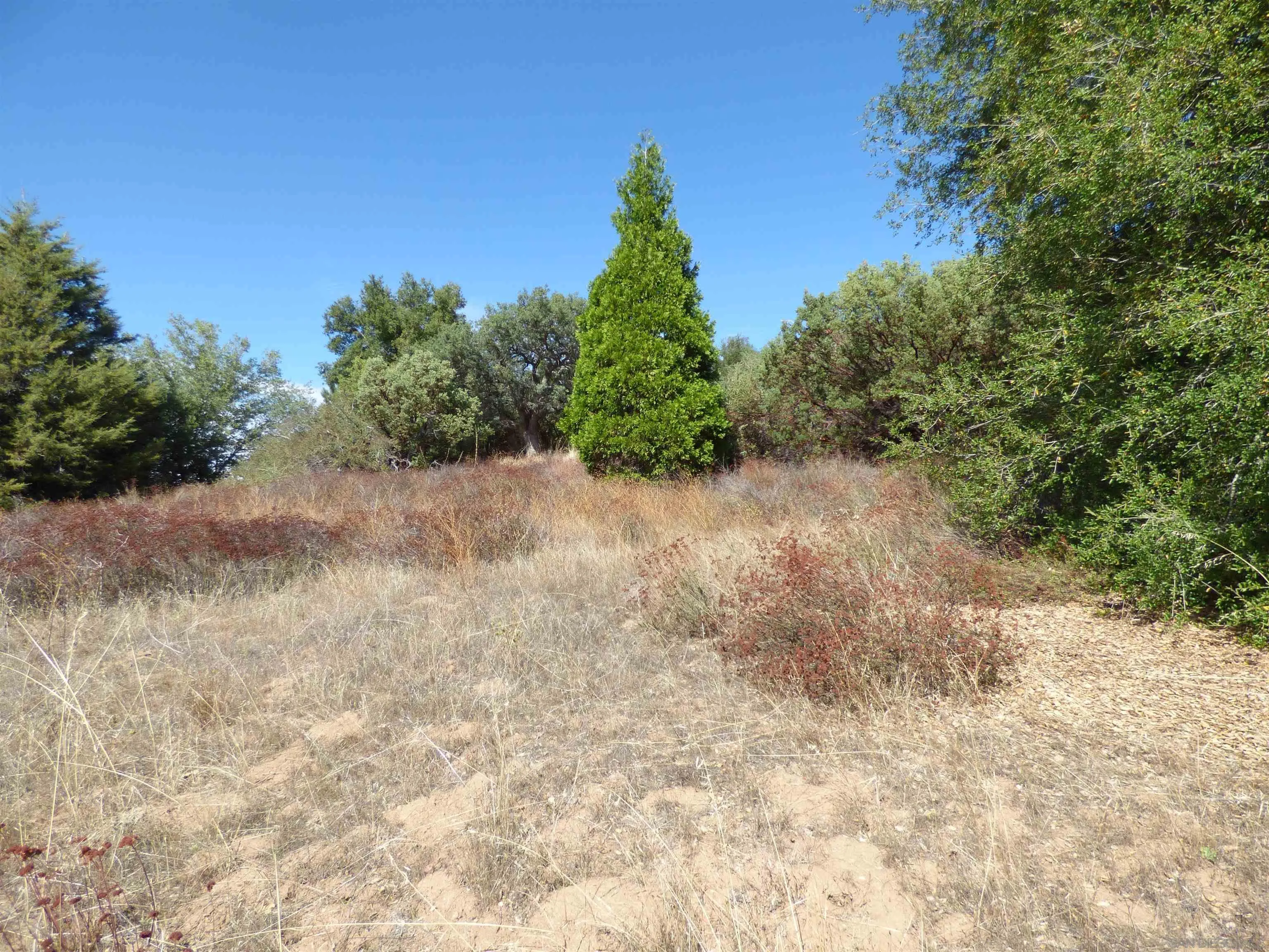 Engineers Road Southeast, Unit N/K Julian, CA 92036 - Photo 10 of 27 a backyard of a house with lots of green space