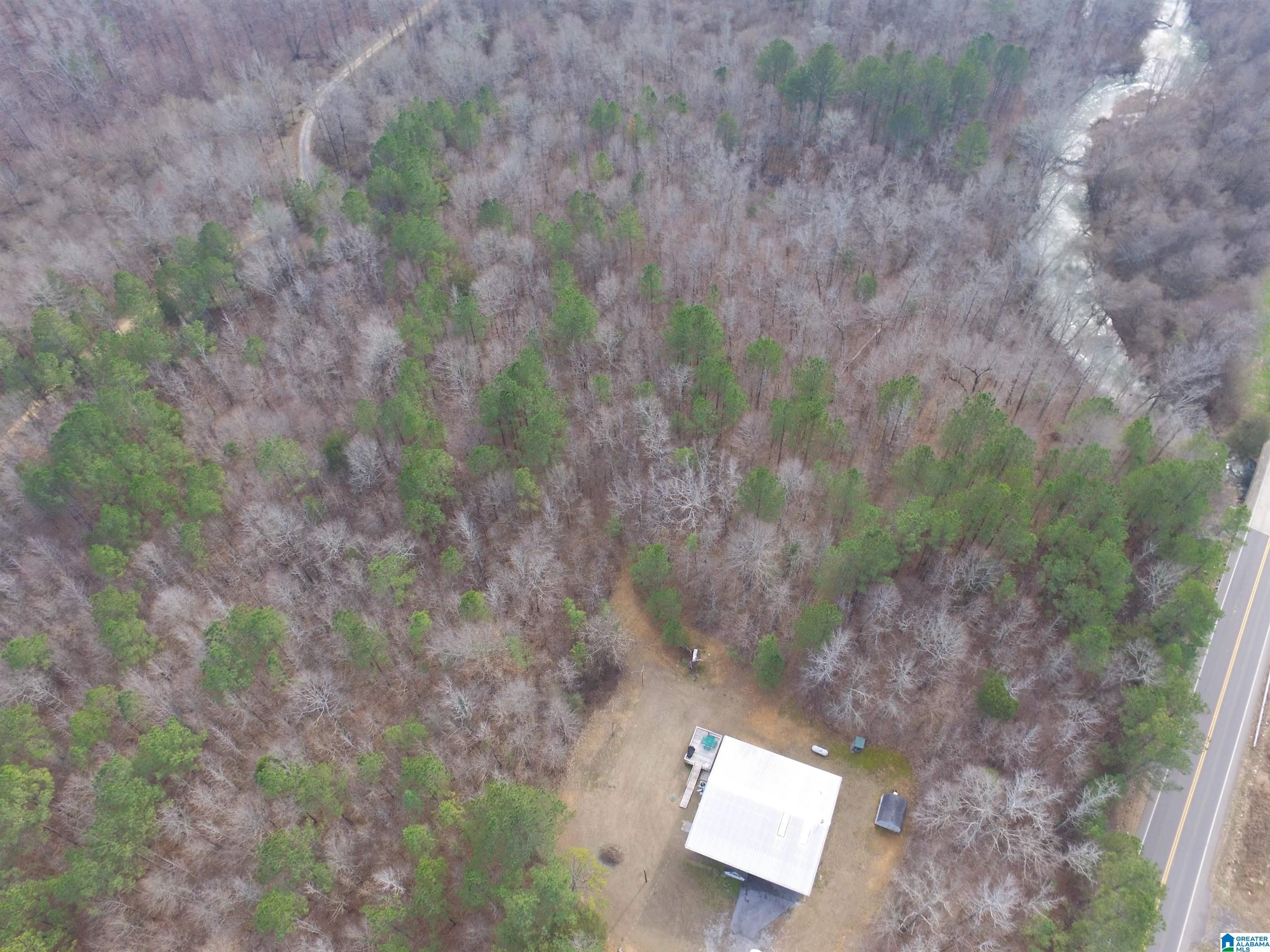 9764 Mudd Street Ohatchee, AL 36271 - Photo 10 of 28