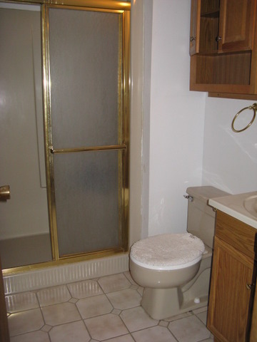 7923 82nd Street Bridgeview, IL 60455 - Photo 7 of 18