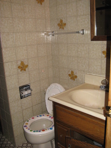 7923 82nd Street Bridgeview, IL 60455 - Photo 8 of 18