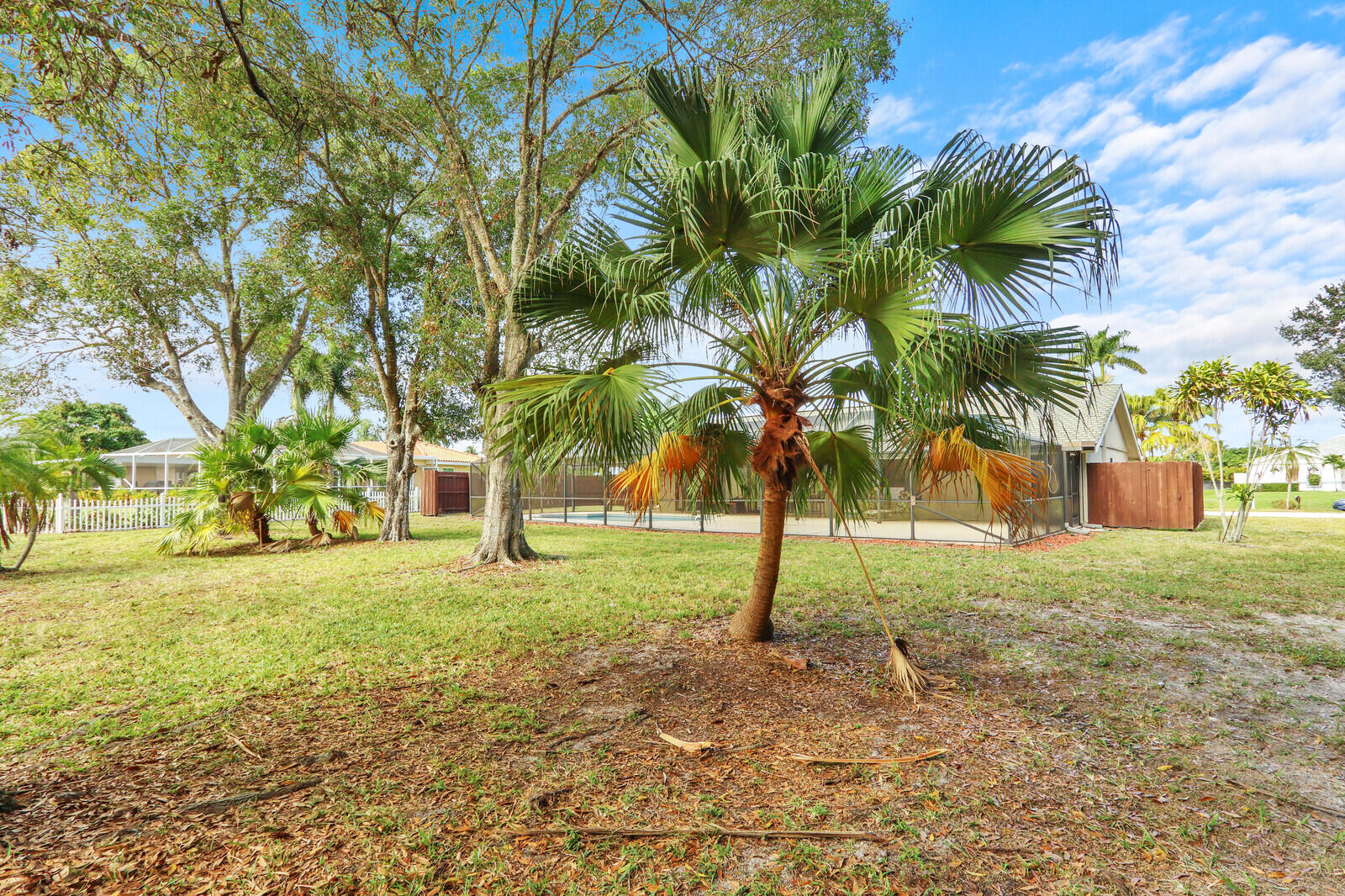 3060 Southeast Darien Road Port St. Lucie, FL 34952 - Photo 51 of 56 a view of a trees in a yard